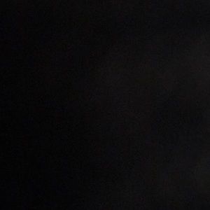 Meet your Posher, Riley